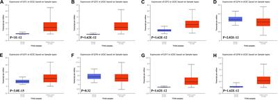 Bioinformatics Identification of the Expression and Clinical Significance of E2F Family in Endometrial Cancer